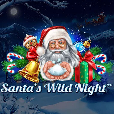 Santa’s Wild Night